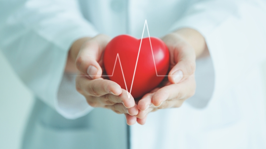Cardiovascular Triplex Screening Program